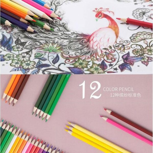 Colored Pencil - 12 Colors